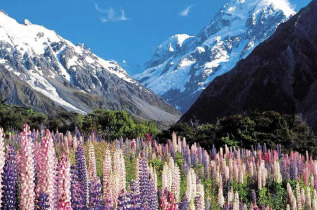 Nouvelle-Zélande - Mt Cook