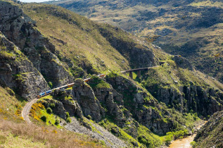 Nouvelle-Zélande - Dunedin - Taieri Gorge railway © DunedinNZ