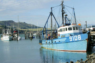 Nouvelle-Zélande - Dunedin, Otago