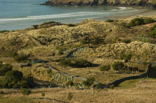 Nouvelle-Zélande - Dunedin - The Penguin Place