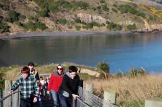 Nouvelle-Zélande - Dunedin - Visite guidée au Royal Albatross Centre