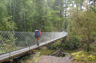 Nouvelle-Zélande - Te Anau - Randonnée guidée sur la Kepler Track © Destination Fiordland