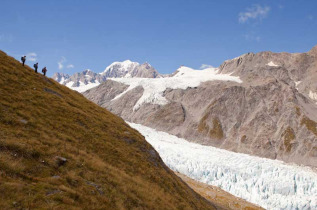 Nouvelle-Zélande - Fox Glacier © Fox Glacier Guiding