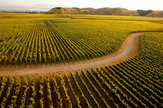 Nouvelle-Zélande - Hawkes Bay