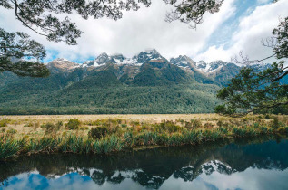 Nouvelle-Zélande - Ile du Sud - Mirror Lakes © Stray Travel NZ