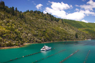 Nouvelle-Zélande - Marlborough Sounds
