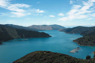 Nouvelle-Zélande - Marlborough Sounds - Croisière dans le Queen Charlotte Sound, inclus dégustation de produits locaux