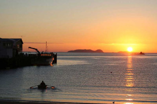 Nouvelle-Zélande - Stewart Island - Découverte d'Oban et ses environs en autocar © Venture Southland