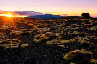 Nouvelle-Zélande - Parc national de Tongariro - Marche guidée au coucher du soleil