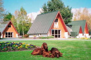 Nouvelle-Zélande - Twizel - Mountain Chalet Motels