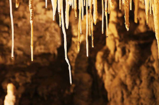 Nouvelle-Zélande - Waitomo - Explorez la grotte de vers luisants de Footwhistle