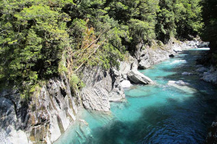 Nouvelle-Zélande - Wanaka - Marches guidées au coeur du Haast Pass