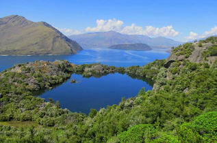 Nouvelle-Zélande - Wanaka - Visite de l'île-sanctuaire de Mou Waho et du lac Wanaka