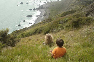 Nouvelle-Zélande - Wellington - Rencontre avec les kiwis de Kapiti, inclus nuit sur l'île