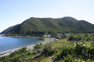 Nouvelle-Zélande - Wellington - Rencontre avec les kiwis de Kapiti, inclus nuit sur l'île