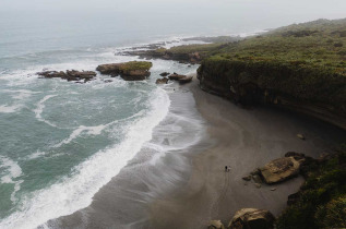 Nouvelle-Zélande - West Coast - Paparoa National Park - Truman Track