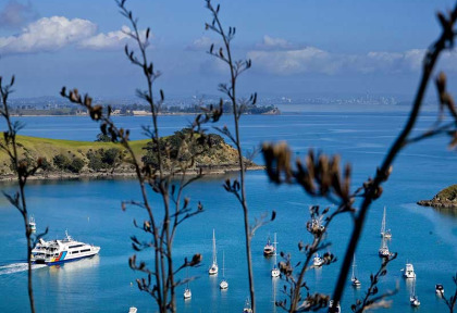 Nouvelle-Zélande - Auckland - Visite guidée et en liberté de l'île de Waiheke © Tourism New Zealand, Adrian Malloch