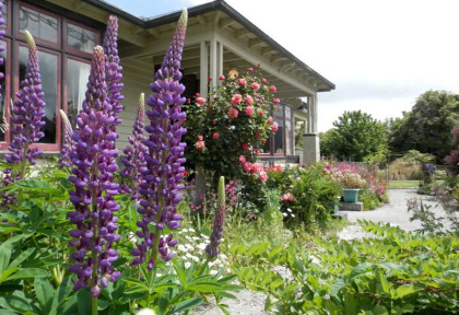 Nouvelle-Zélande - Catlins - Catlins Mohua Park