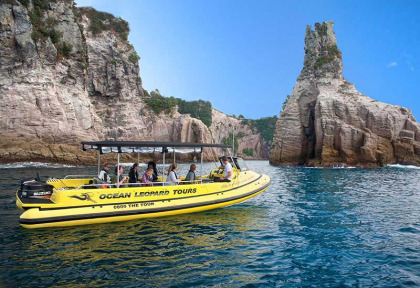 Nouvelle-Zélande - Coromandel - Croisière dans la baie de Mercury