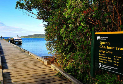 Nouvelle-Zélande - Marlborough Sounds - Croisière dans les Malborough Sounds, arrêt au Punga Cove Resort