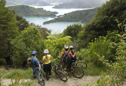 Nouvelle-Zélande - Marlborough Sounds - VTT sur la Queen Charlotte Track