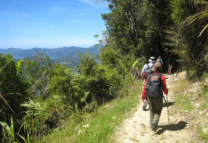 Nouvelle-Zélande - Marlborough Sounds - Aventure guidée en kayak et randonnée libre sur la Queen Charlotte Track