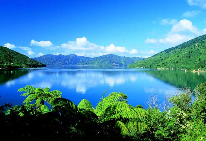 Nouvelle-Zélande - Marlborough Sounds - Journée de kayak dans le Queen Charlotte Sound