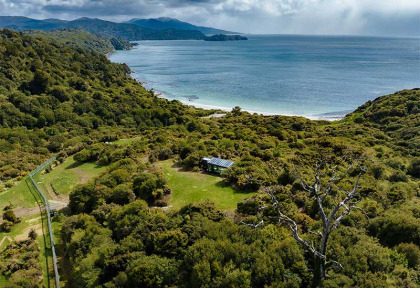 Nouvelle-Zélande - Stewart Island - Hananui Purepod ©Matt Finch