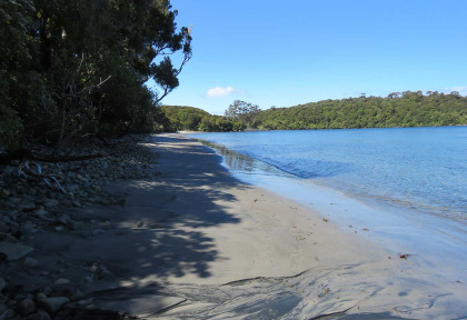 Nouvelle-Zélande - Stewart Island - Rakiua Great Walk © Ruggedy Ranges