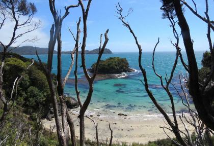 Nouvelle-Zélande - Stewart Island © Ruggedy Ranges