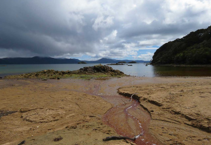 Nouvelle-zélande - Stewart island - Ulva Island © Ruggedy Ranges
