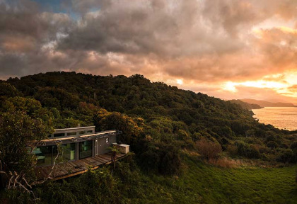 Nouvelle-Zélande - Stewart Island - Tokoeka Purepod ©Paul Wilson