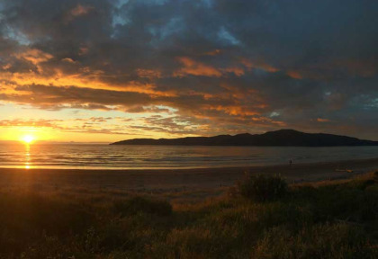 Nouvelle-Zélande - Wellington - Rencontre avec les kiwis de Kapiti, inclus nuit sur l'île