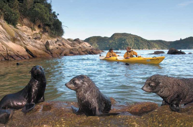 Nouvelle-Zlande - Abel Tasman National Park - Abel Tasman en kayak - merveilles naturelles