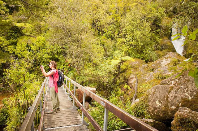 Nouvelle-Zélande - Abel Tasman National Park © Tourism New Zealand, Julian Apse