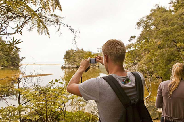 Nouvelle-Zélande - Abel Tasman National Park © Tourism New Zealand, Julian Apse