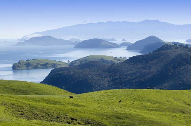 Nouvelle-Zélande - Péninsule de Coromandel