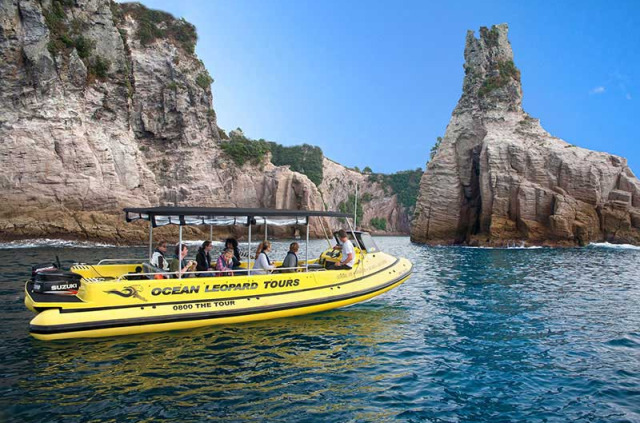 Nouvelle-Zélande - Coromandel - Croisière dans la baie de Mercury