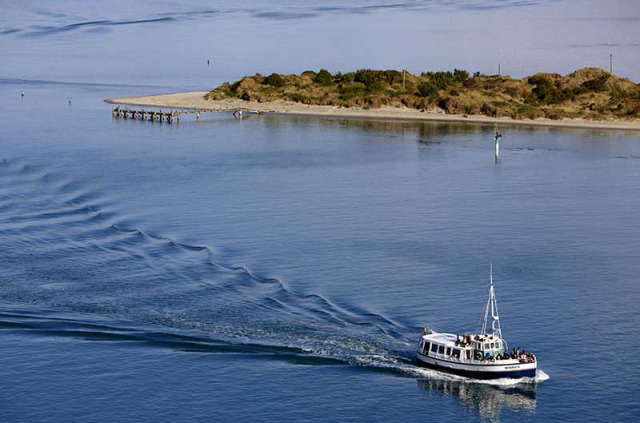 Nouvelle-Zélande - Dunedin - Croisière Monarch Cruises dans le port d'Otago et Observation de la faune marine