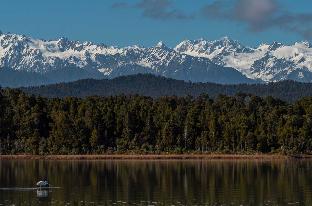 Nouvelle-Zélande - Franz Josef - Okarito Eco Boat Tours