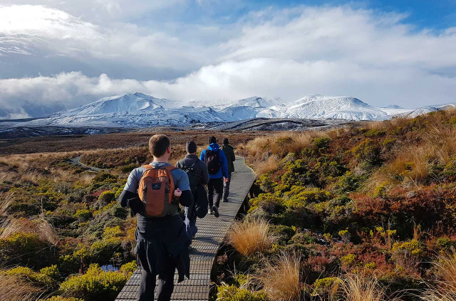 Nouvelle-Zélande - Ile du Nord - Tongariro National Park © Stray Travel NZ