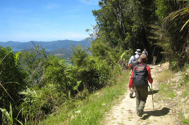 Nouvelle-Zélande - Marlborough Sounds - Aventure guidée en kayak et randonnée libre sur la Queen Charlotte Track