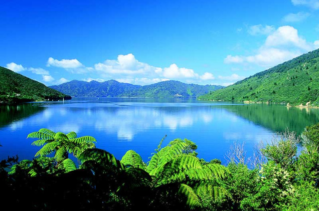 Nouvelle-Zélande - Marlborough Sounds - Journée de kayak dans le Queen Charlotte Sound