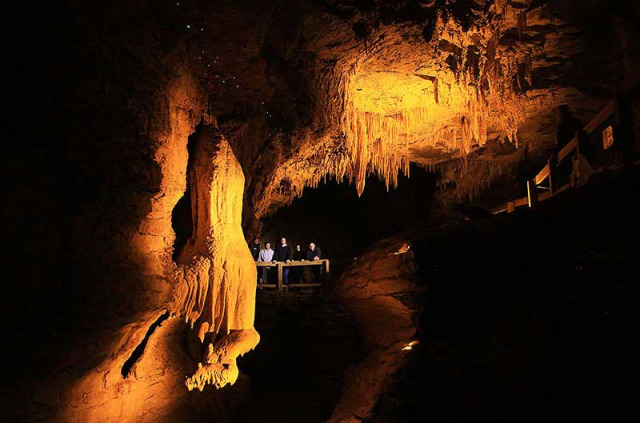 Nouvelle-Zélande - Waitomo - Explorez la grotte de vers luisants de Footwhistle