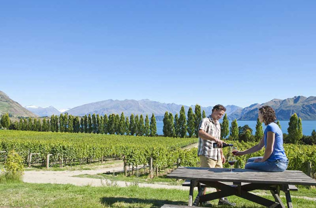 Nouvelle-Zélande - Wanaka - Saveurs et vins fins du Central Otago © Lake Wanaka Tourism