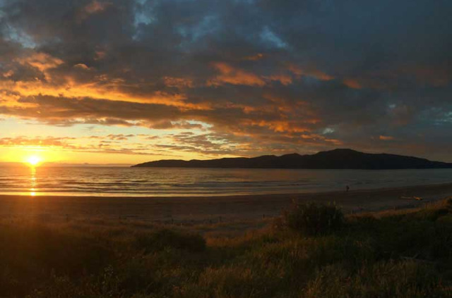 Nouvelle-Zélande - Wellington - Rencontre avec les kiwis de Kapiti, inclus nuit sur l'île