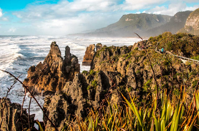 Nouvelle-Zélande - West Coast - Paparoa National Park - Punakaiki © Charles Brunning